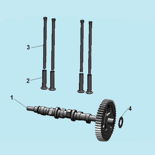 Распредвал Champion DG10000E